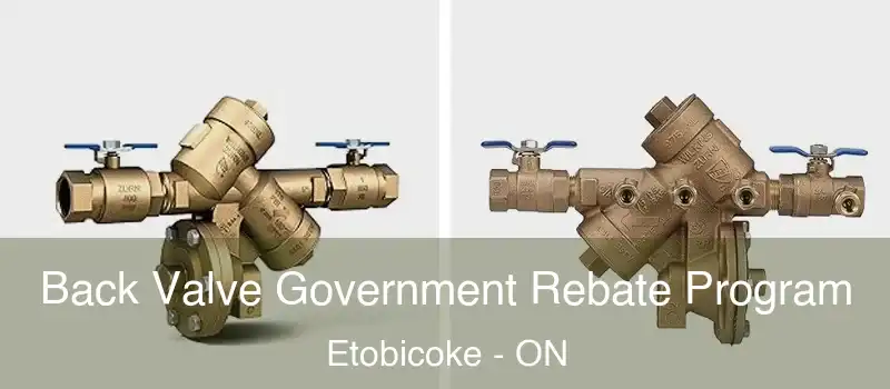  Back Valve Government Rebate Program Etobicoke - ON