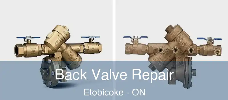  Back Valve Repair Etobicoke - ON