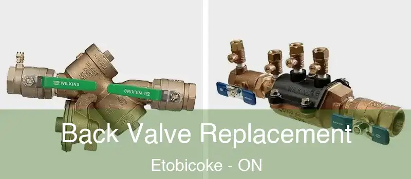  Back Valve Replacement Etobicoke - ON