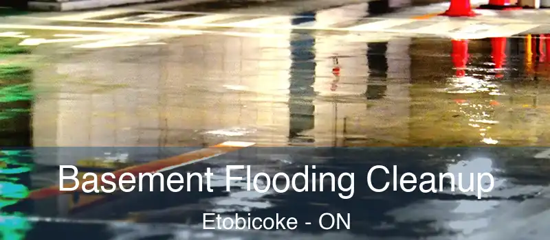  Basement Flooding Cleanup Etobicoke - ON