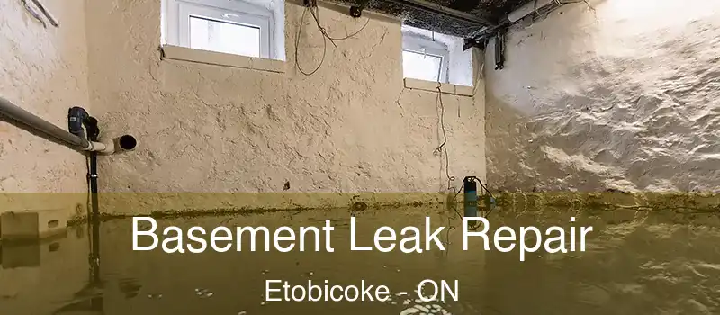  Basement Leak Repair Etobicoke - ON