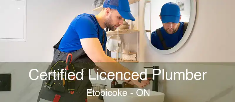  Certified Licenced Plumber Etobicoke - ON
