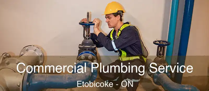  Commercial Plumbing Service Etobicoke - ON