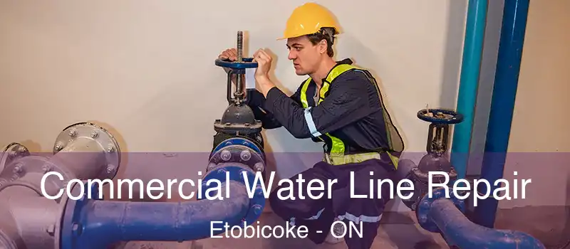  Commercial Water Line Repair Etobicoke - ON