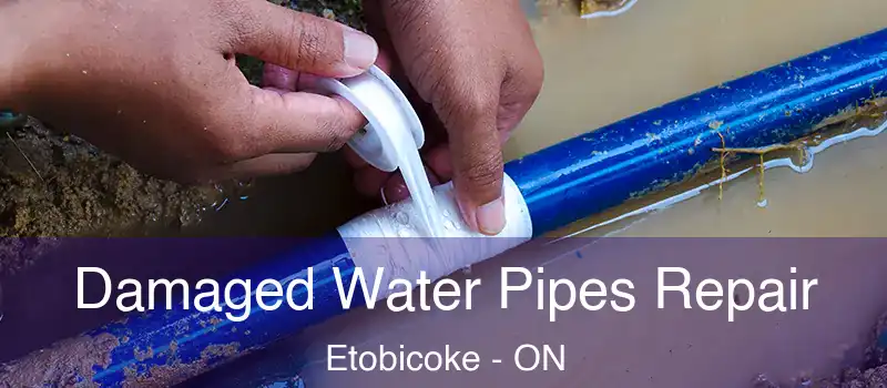  Damaged Water Pipes Repair Etobicoke - ON