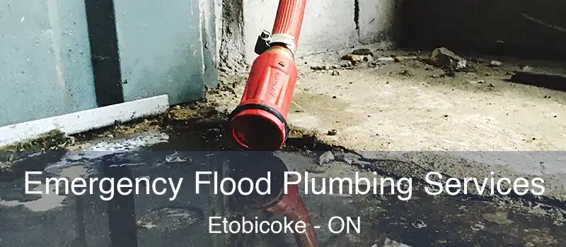  Emergency Flood Plumbing Services Etobicoke - ON