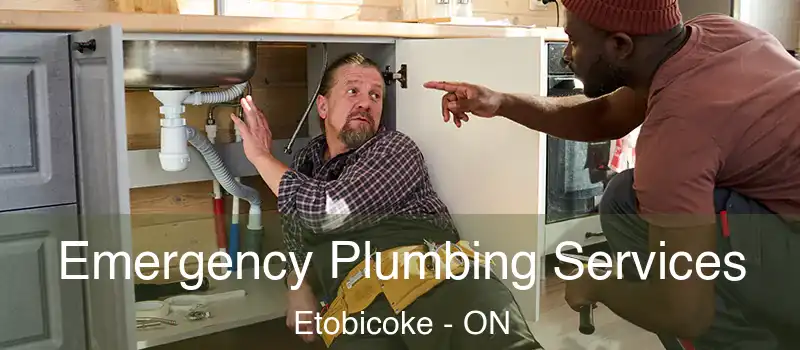  Emergency Plumbing Services Etobicoke - ON
