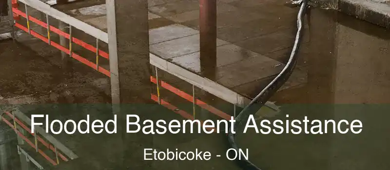  Flooded Basement Assistance Etobicoke - ON