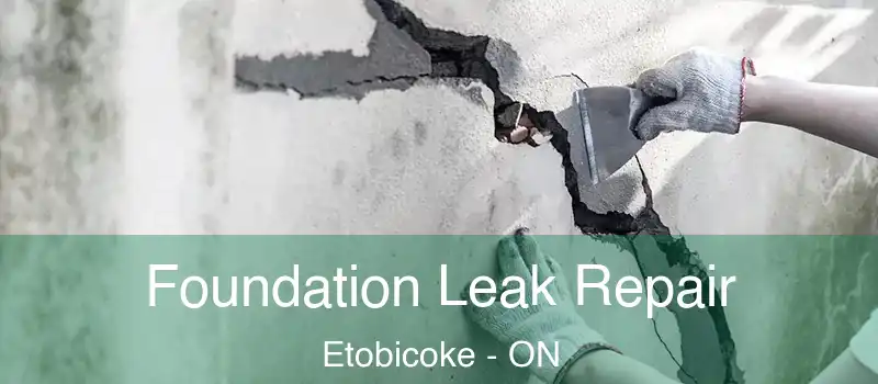  Foundation Leak Repair Etobicoke - ON
