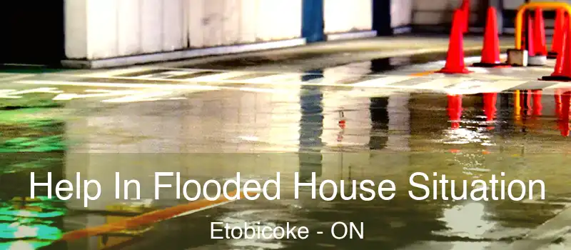  Help In Flooded House Situation Etobicoke - ON