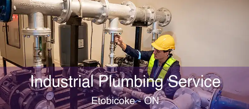  Industrial Plumbing Service Etobicoke - ON