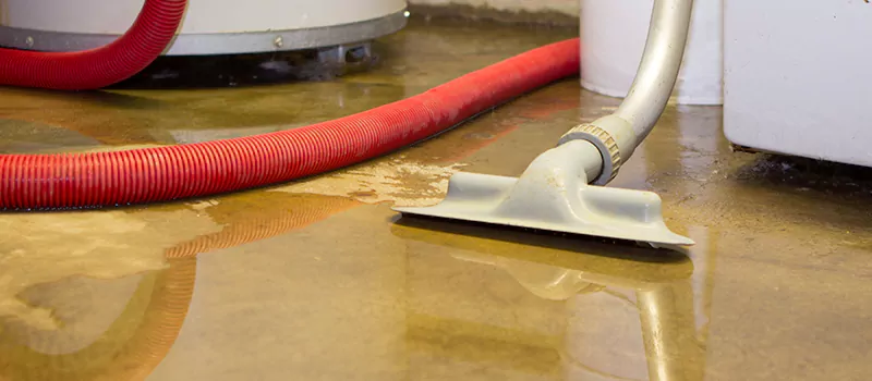 Professional Sewer Backup Cleanup Services in Etobicoke, ON
