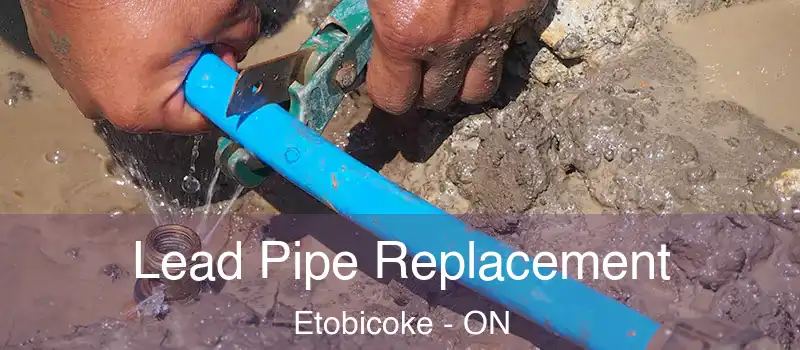  Lead Pipe Replacement Etobicoke - ON