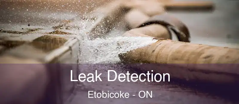  Leak Detection Etobicoke - ON