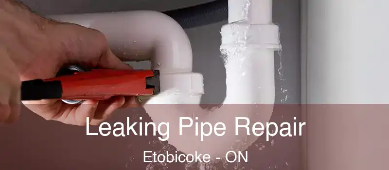 Leaking Pipe Repair Etobicoke - ON