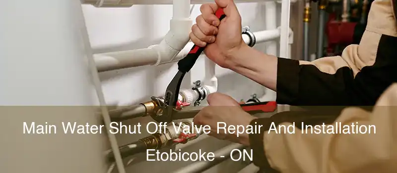  Main Water Shut Off Valve Repair And Installation Etobicoke - ON