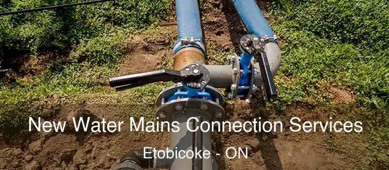  New Water Mains Connection Services Etobicoke - ON