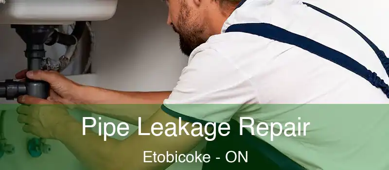  Pipe Leakage Repair Etobicoke - ON