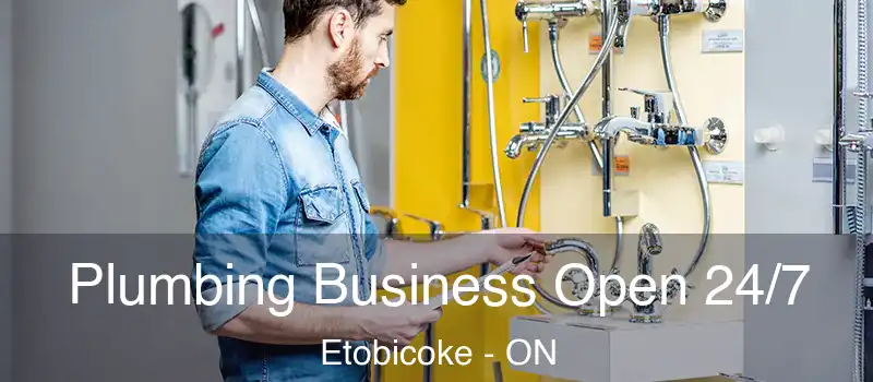  Plumbing Business Open 24/7 Etobicoke - ON