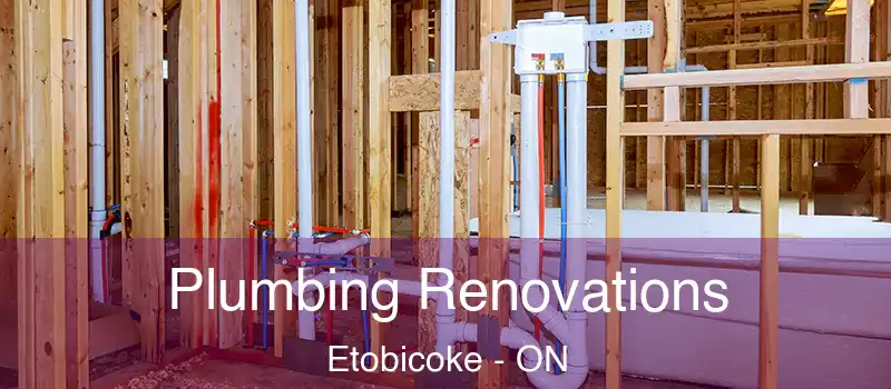  Plumbing Renovations Etobicoke - ON
