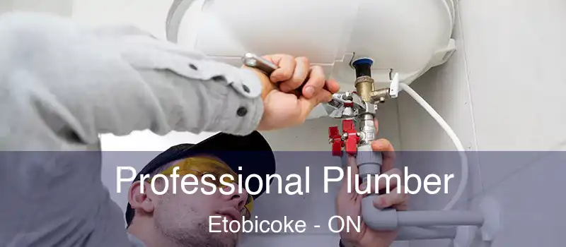  Professional Plumber Etobicoke - ON