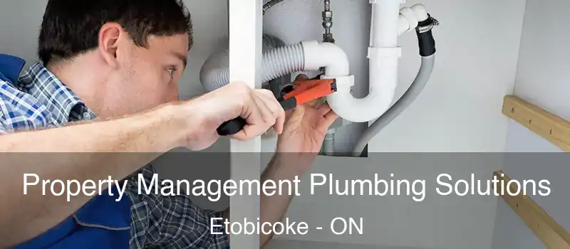  Property Management Plumbing Solutions Etobicoke - ON