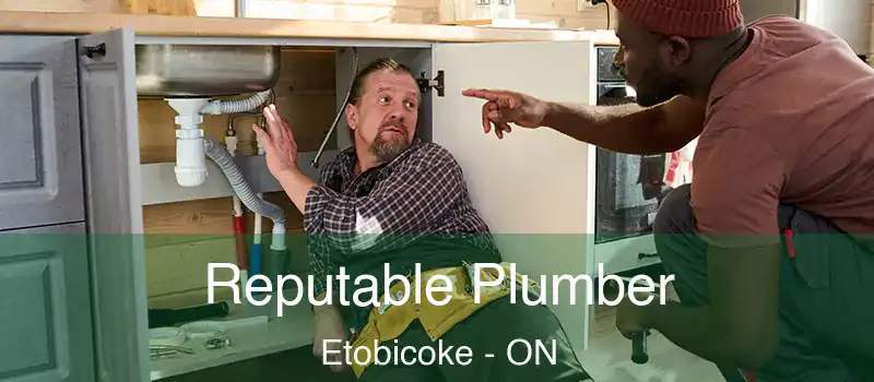  Reputable Plumber Etobicoke - ON