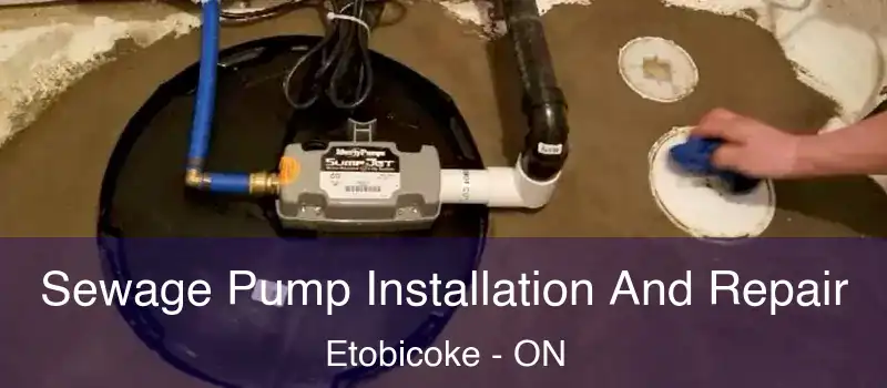  Sewage Pump Installation And Repair Etobicoke - ON