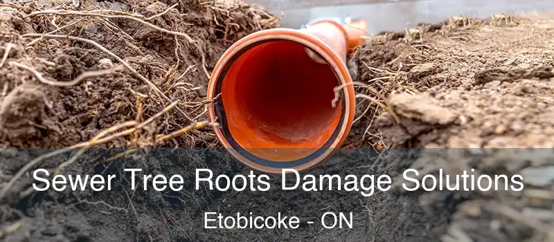  Sewer Tree Roots Damage Solutions Etobicoke - ON
