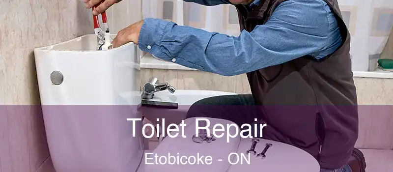  Toilet Repair Etobicoke - ON