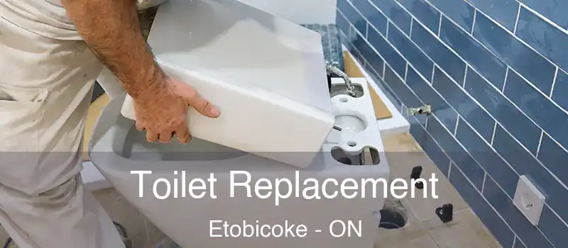  Toilet Replacement Etobicoke - ON