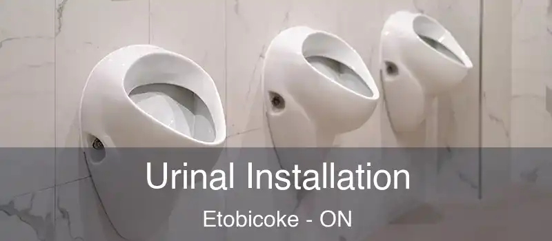  Urinal Installation Etobicoke - ON