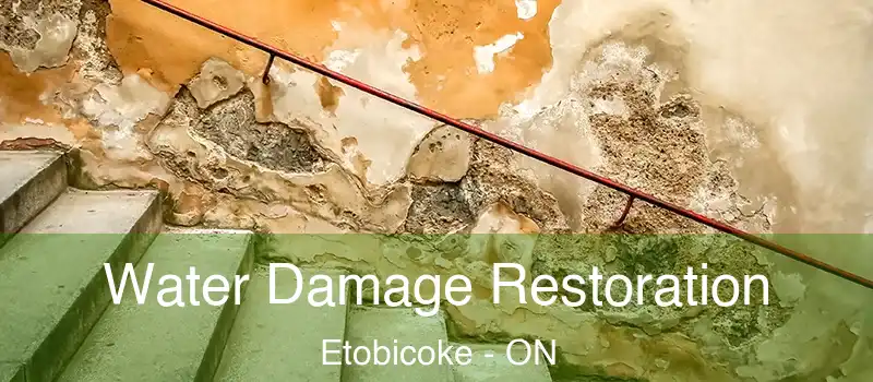  Water Damage Restoration Etobicoke - ON
