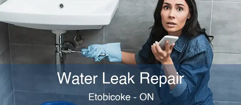  Water Leak Repair Etobicoke - ON