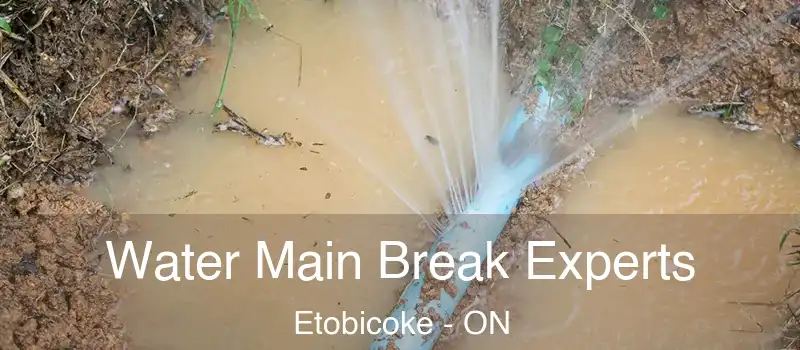  Water Main Break Experts Etobicoke - ON