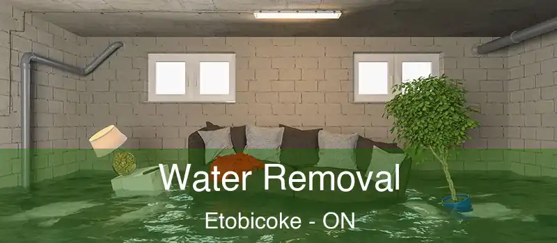  Water Removal Etobicoke - ON