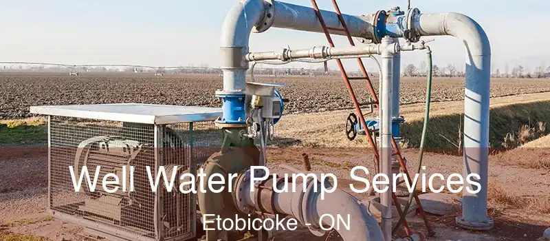  Well Water Pump Services Etobicoke - ON